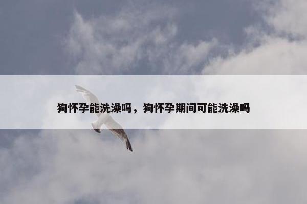 狗怀孕能洗澡吗，狗怀孕期间可能洗澡吗