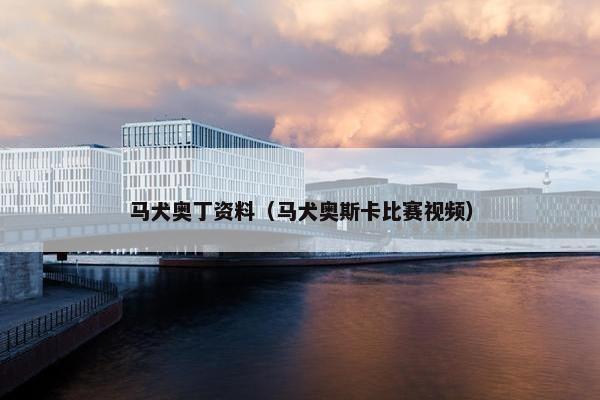 马犬奥丁资料（马犬奥斯卡比赛视频）