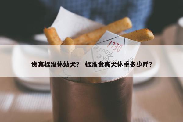 贵宾标准体幼犬？ 标准贵宾犬体重多少斤？