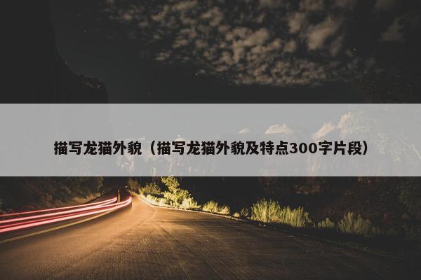 描写龙猫外貌（描写龙猫外貌及特点300字片段）