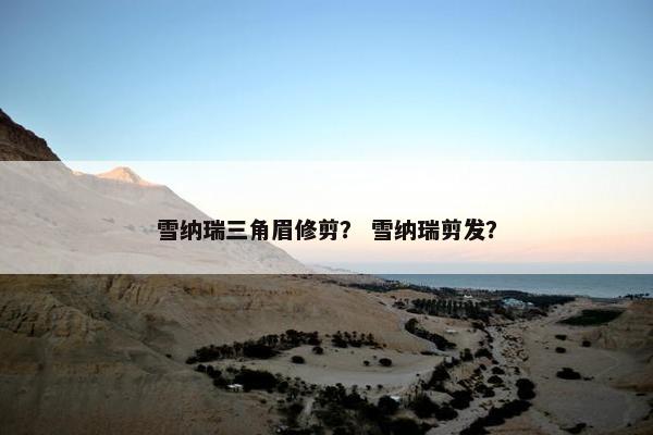 雪纳瑞三角眉修剪？ 雪纳瑞剪发？
