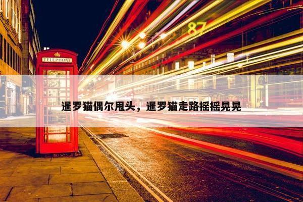 暹罗猫偶尔甩头，暹罗猫走路摇摇晃晃