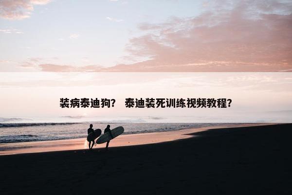 装病泰迪狗？ 泰迪装死训练视频教程？