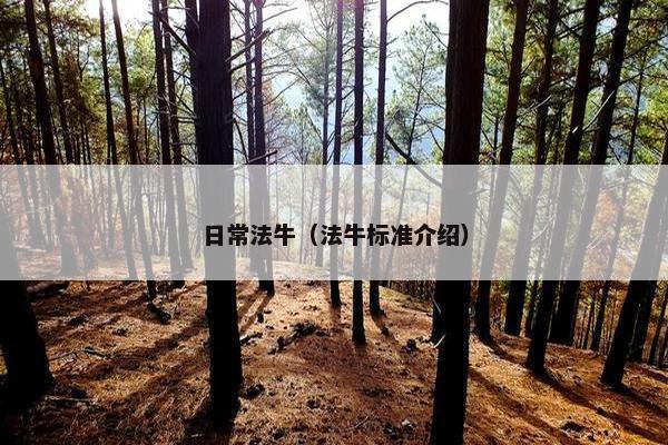 日常法牛（法牛标准介绍）