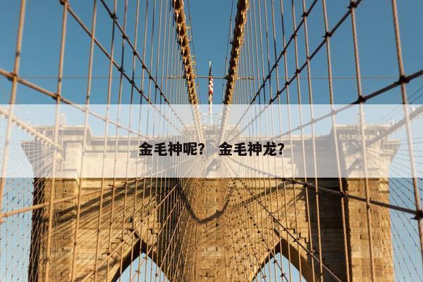 金毛神呢？ 金毛神龙？