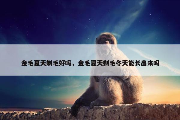 金毛夏天剃毛好吗，金毛夏天剃毛冬天能长出来吗