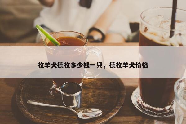 牧羊犬德牧多少钱一只，德牧羊犬价格