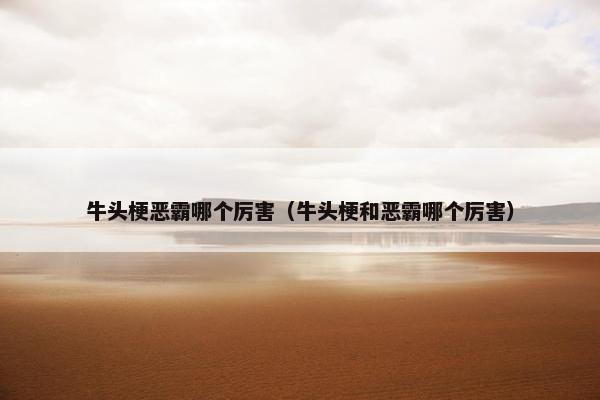 牛头梗恶霸哪个厉害（牛头梗和恶霸哪个厉害）