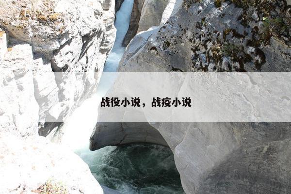 战役小说，战疫小说