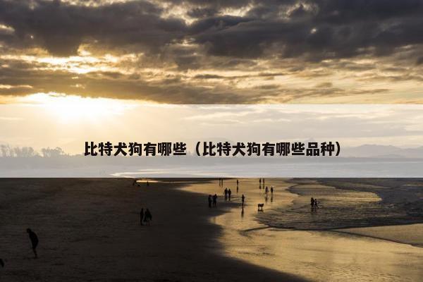比特犬狗有哪些（比特犬狗有哪些品种）
