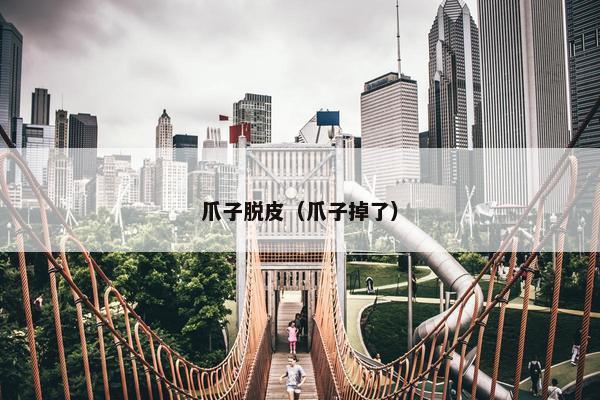 爪子脱皮（爪子掉了）