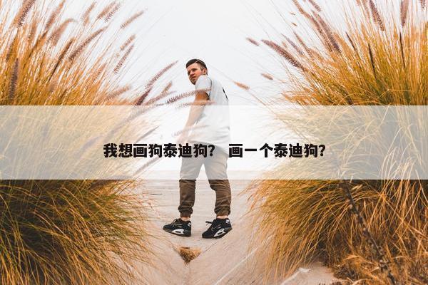 我想画狗泰迪狗？ 画一个泰迪狗？