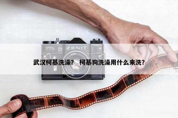 武汉柯基洗澡？ 柯基狗洗澡用什么来洗？