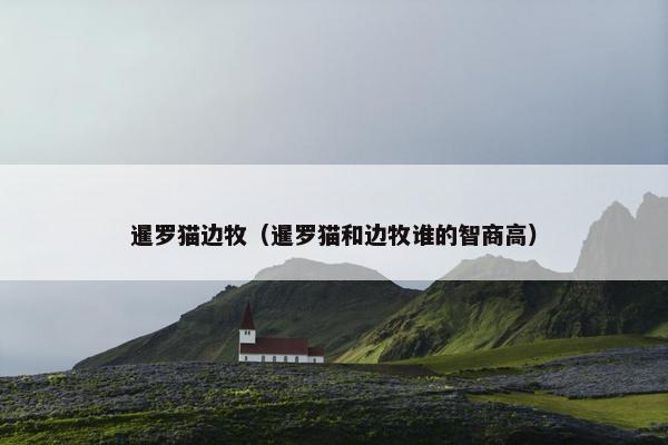 暹罗猫边牧（暹罗猫和边牧谁的智商高）