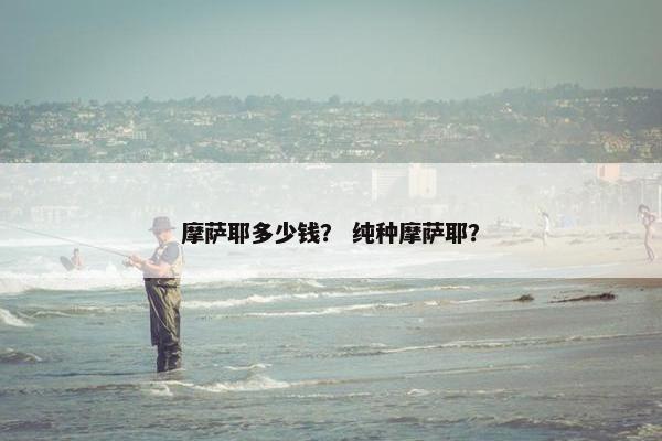 摩萨耶多少钱？ 纯种摩萨耶？