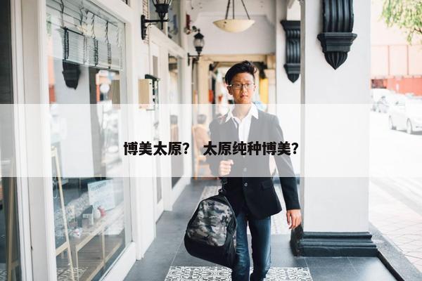 博美太原？ 太原纯种博美？