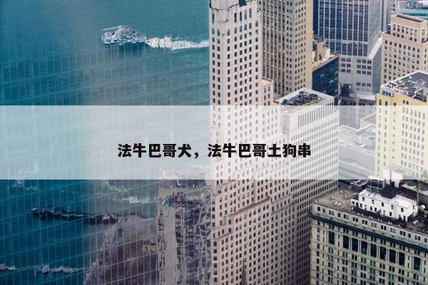 法牛巴哥犬，法牛巴哥土狗串