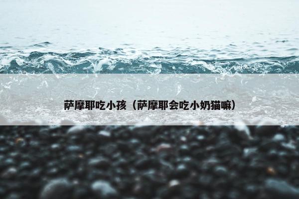 萨摩耶吃小孩（萨摩耶会吃小奶猫嘛）