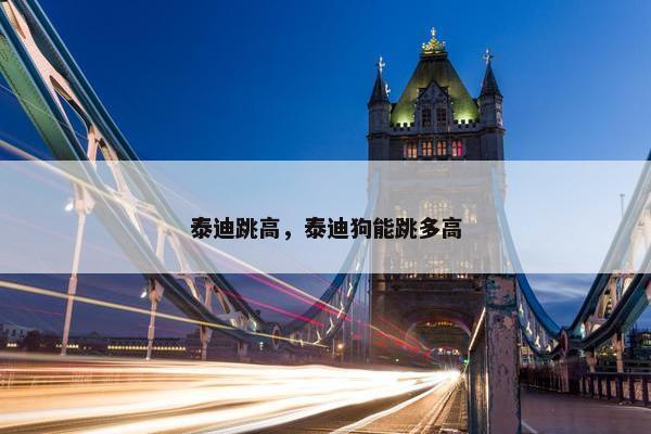 泰迪跳高，泰迪狗能跳多高