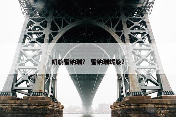 凯旋雪纳瑞？ 雪纳瑞螺旋？