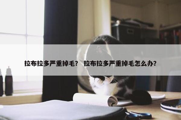 拉布拉多严重掉毛？ 拉布拉多严重掉毛怎么办？