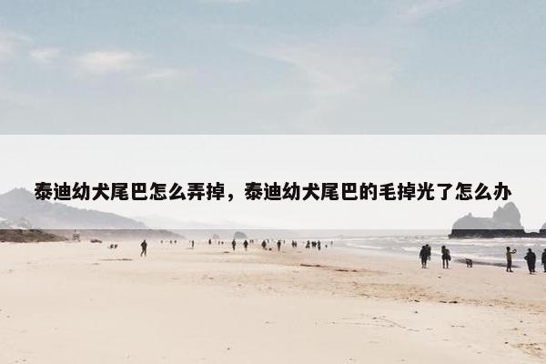 泰迪幼犬尾巴怎么弄掉，泰迪幼犬尾巴的毛掉光了怎么办