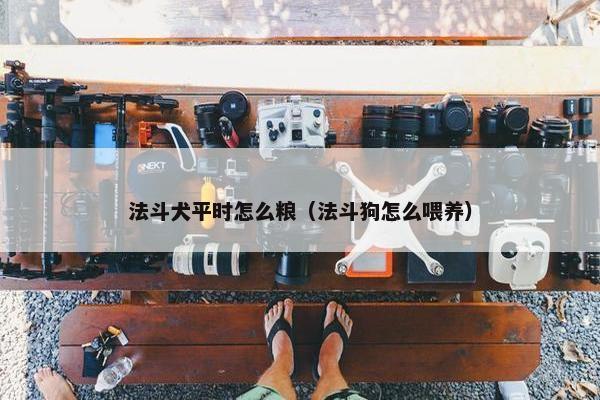 法斗犬平时怎么粮（法斗狗怎么喂养）