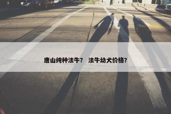 唐山纯种法牛？ 法牛幼犬价格？
