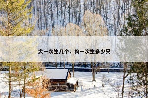 犬一次生几个，狗一次生多少只