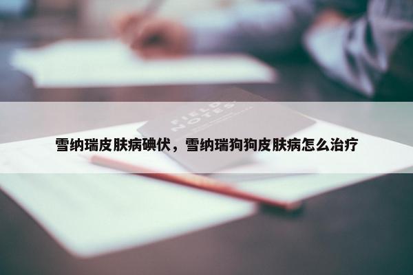 雪纳瑞皮肤病碘伏，雪纳瑞狗狗皮肤病怎么治疗