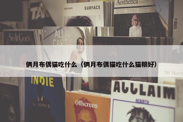 俩月布偶猫吃什么（俩月布偶猫吃什么猫粮好）