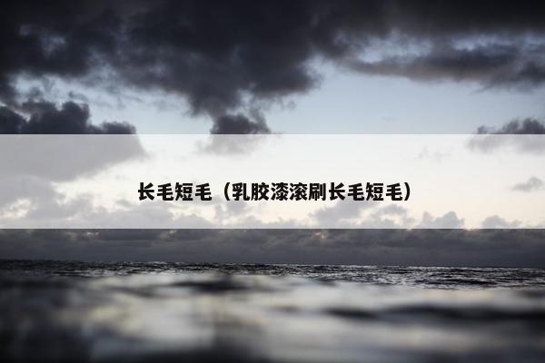 长毛短毛（乳胶漆滚刷长毛短毛）