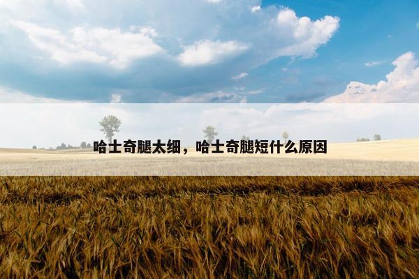 哈士奇腿太细，哈士奇腿短什么原因