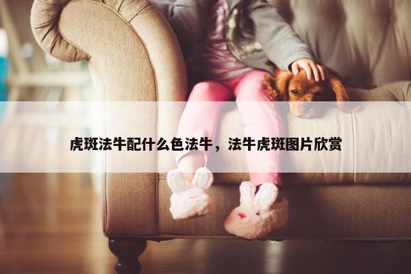 虎斑法牛配什么色法牛，法牛虎斑图片欣赏