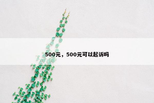 500元，500元可以起诉吗