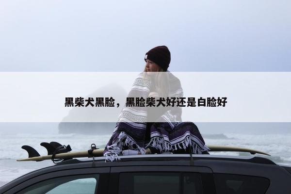 黑柴犬黑脸，黑脸柴犬好还是白脸好