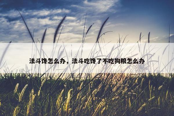 法斗馋怎么办，法斗吃馋了不吃狗粮怎么办