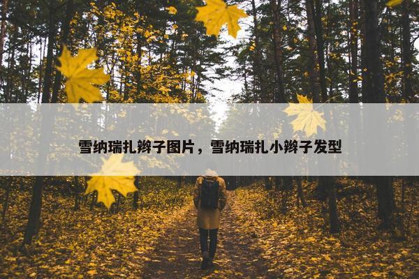 雪纳瑞扎辫子图片，雪纳瑞扎小辫子发型