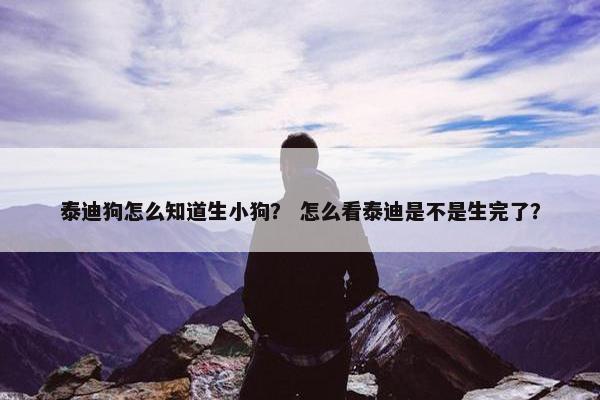 泰迪狗怎么知道生小狗？ 怎么看泰迪是不是生完了？