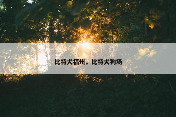 比特犬福州，比特犬狗场