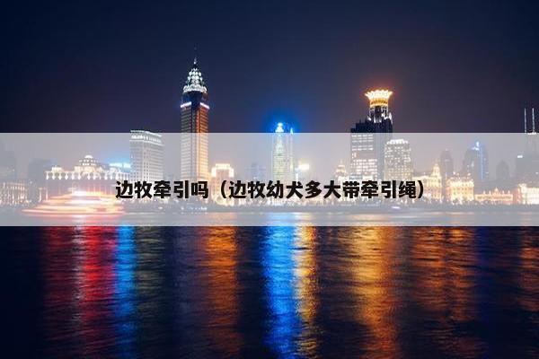 边牧牵引吗（边牧幼犬多大带牵引绳）