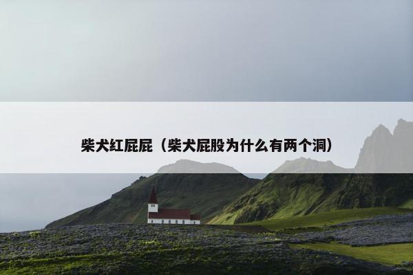 柴犬红屁屁（柴犬屁股为什么有两个洞）