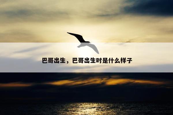 巴哥出生，巴哥出生时是什么样子