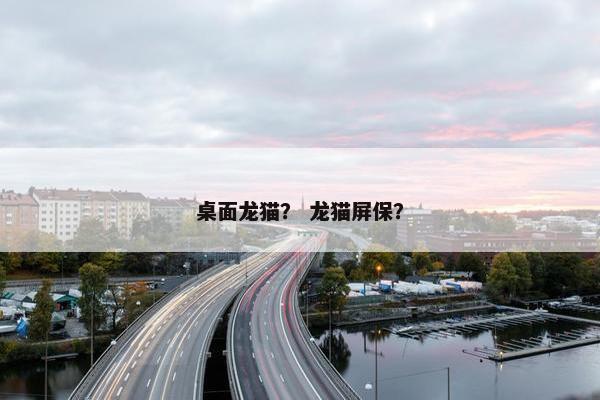 桌面龙猫？ 龙猫屏保？