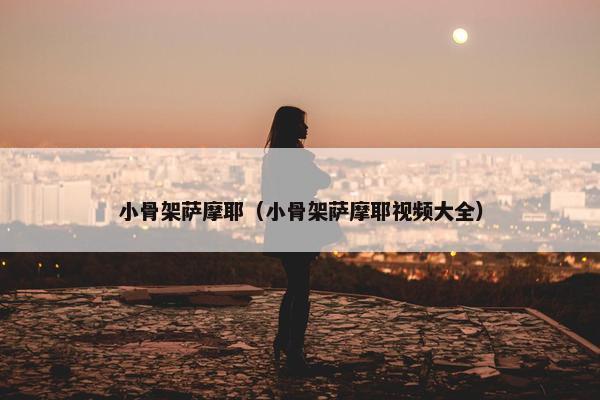 小骨架萨摩耶（小骨架萨摩耶视频大全）
