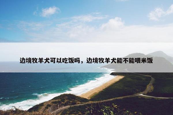 边境牧羊犬可以吃饭吗，边境牧羊犬能不能喂米饭