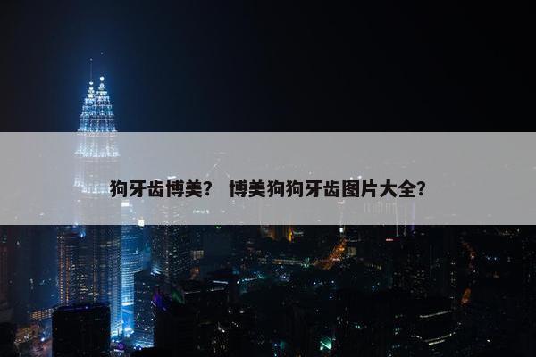 狗牙齿博美？ 博美狗狗牙齿图片大全？