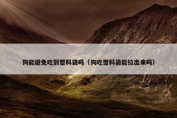 狗能避免吃到塑料袋吗（狗吃塑料袋能拉出来吗）