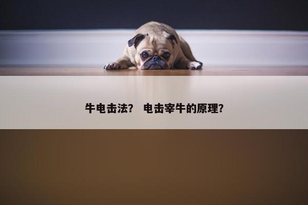 牛电击法？ 电击宰牛的原理？