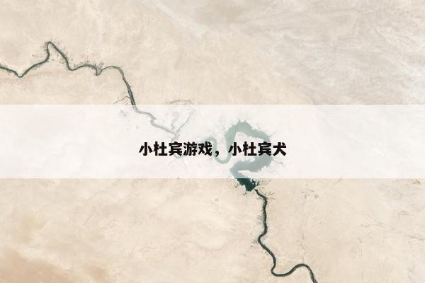 小杜宾游戏，小杜宾犬